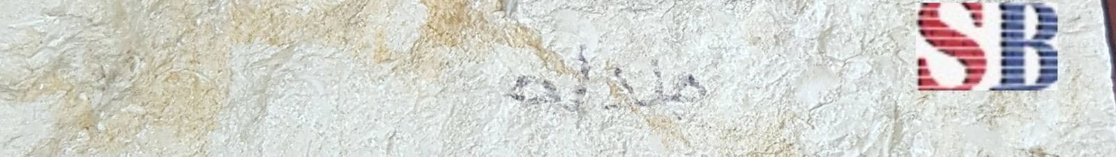 تجليد حوائط — 2